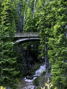 Preview wallpaper bridge, stream, nature, trees