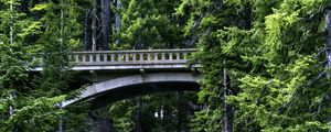 Preview wallpaper bridge, stream, nature, trees