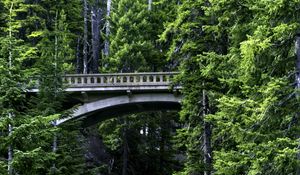 Preview wallpaper bridge, stream, nature, trees