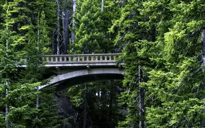 Preview wallpaper bridge, stream, nature, trees