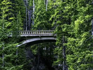 Preview wallpaper bridge, stream, nature, trees