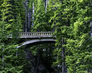 Preview wallpaper bridge, stream, nature, trees