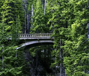 Preview wallpaper bridge, stream, nature, trees