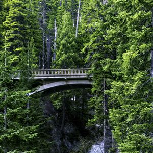 Preview wallpaper bridge, stream, nature, trees