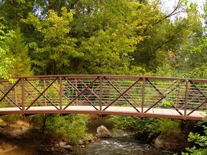 Preview wallpaper bridge, stream, trees, wood, iron