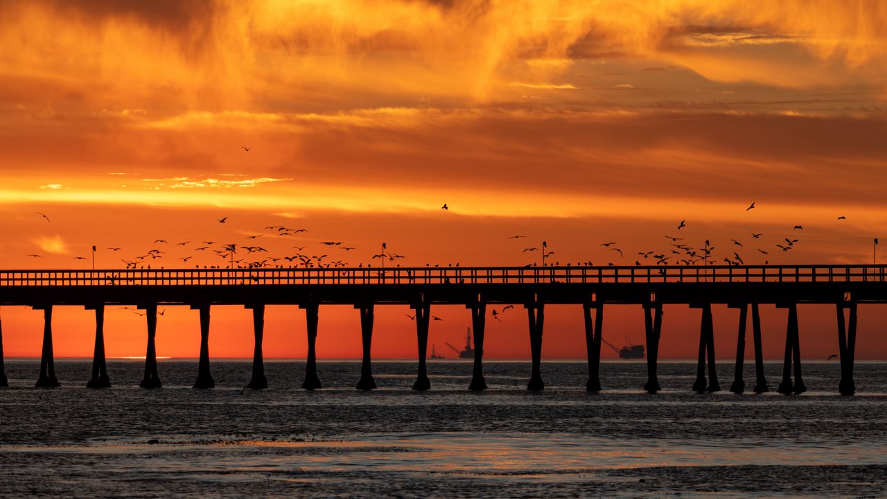 Wallpaper bridge, sunset, birds, sea, dusk