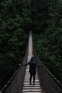 Preview wallpaper bridge, suspended, trees, people, loneliness