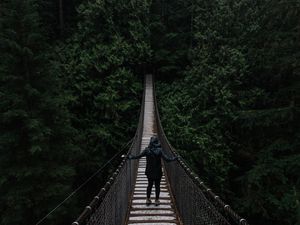 Preview wallpaper bridge, suspended, trees, people, loneliness