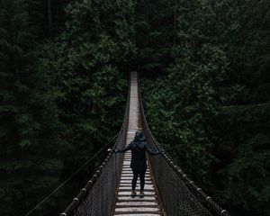Preview wallpaper bridge, suspended, trees, people, loneliness