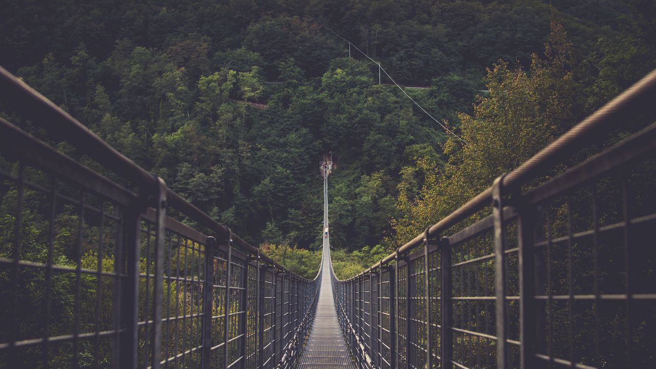 Wallpaper bridge, suspension bridge, forest, direction, trees, clouds