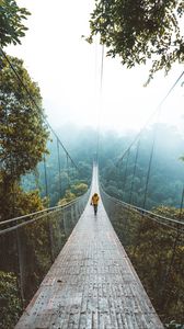 Preview wallpaper bridge, suspension bridge, loneliness, walk, forest