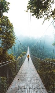 Preview wallpaper bridge, suspension bridge, loneliness, walk, forest