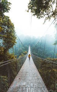 Preview wallpaper bridge, suspension bridge, loneliness, walk, forest