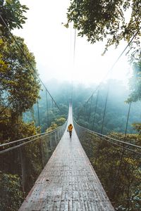 Preview wallpaper bridge, suspension bridge, loneliness, walk, forest