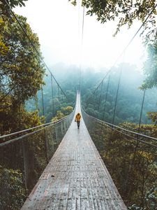 Preview wallpaper bridge, suspension bridge, loneliness, walk, forest