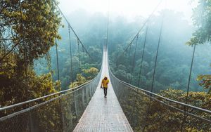 Preview wallpaper bridge, suspension bridge, loneliness, walk, forest