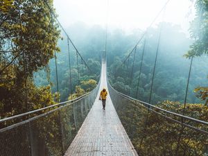 Preview wallpaper bridge, suspension bridge, loneliness, walk, forest