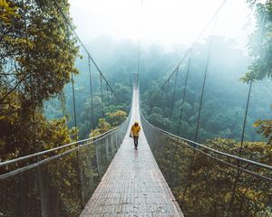 Preview wallpaper bridge, suspension bridge, loneliness, walk, forest