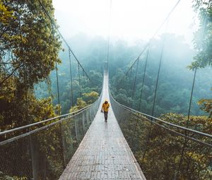 Preview wallpaper bridge, suspension bridge, loneliness, walk, forest