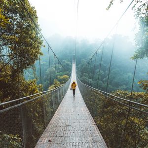 Preview wallpaper bridge, suspension bridge, loneliness, walk, forest