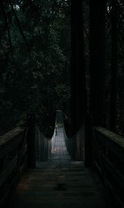 Preview wallpaper bridge, suspension bridge, solitude, forest, dark