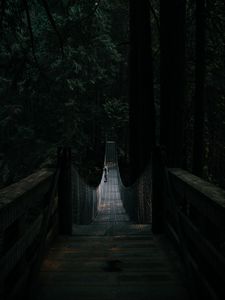 Preview wallpaper bridge, suspension bridge, solitude, forest, dark