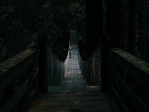 Preview wallpaper bridge, suspension bridge, solitude, forest, dark