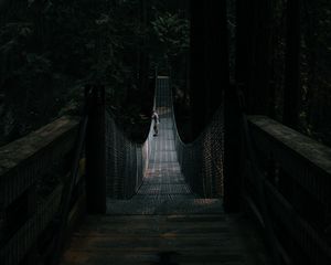 Preview wallpaper bridge, suspension bridge, solitude, forest, dark