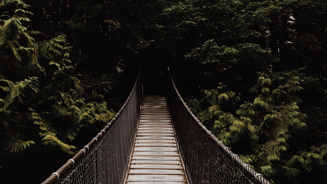 Wallpaper bridge, suspension bridge, trees, forest, dark
