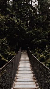 Preview wallpaper bridge, suspension bridge, trees, forest, dark