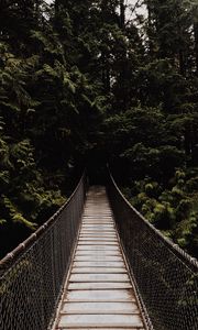 Preview wallpaper bridge, suspension bridge, trees, forest, dark