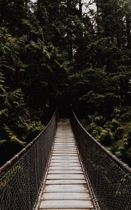 Preview wallpaper bridge, suspension bridge, trees, forest, dark