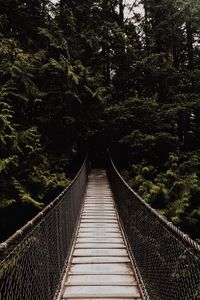 Preview wallpaper bridge, suspension bridge, trees, forest, dark