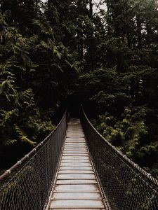 Preview wallpaper bridge, suspension bridge, trees, forest, dark