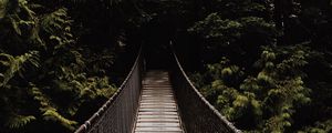 Preview wallpaper bridge, suspension bridge, trees, forest, dark