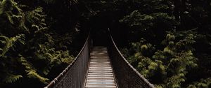 Preview wallpaper bridge, suspension bridge, trees, forest, dark