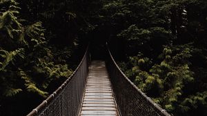Preview wallpaper bridge, suspension bridge, trees, forest, dark