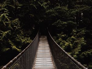 Preview wallpaper bridge, suspension bridge, trees, forest, dark