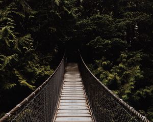 Preview wallpaper bridge, suspension bridge, trees, forest, dark