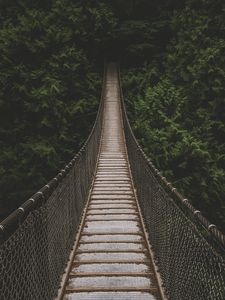 Preview wallpaper bridge, suspension bridge, trees, forest, greens