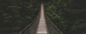 Preview wallpaper bridge, suspension bridge, trees, forest, greens