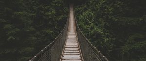 Preview wallpaper bridge, suspension bridge, trees, forest, greens