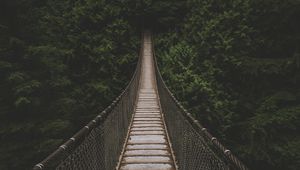 Preview wallpaper bridge, suspension bridge, trees, forest, greens