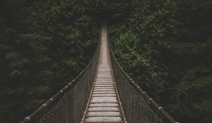 Preview wallpaper bridge, suspension bridge, trees, forest, greens