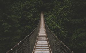 Preview wallpaper bridge, suspension bridge, trees, forest, greens