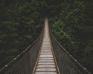 Preview wallpaper bridge, suspension bridge, trees, forest, greens