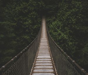 Preview wallpaper bridge, suspension bridge, trees, forest, greens