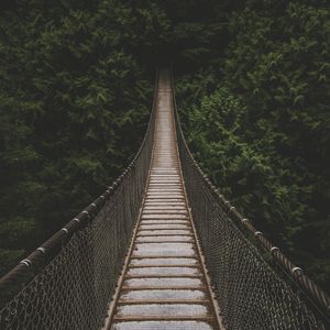 Preview wallpaper bridge, suspension bridge, trees, forest, greens