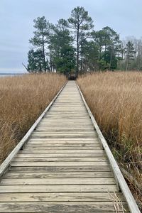 Preview wallpaper bridge, swamp, grass, trees, nature