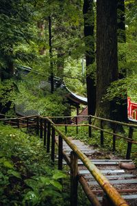 Preview wallpaper bridge, trail, trees, roof, building, nature